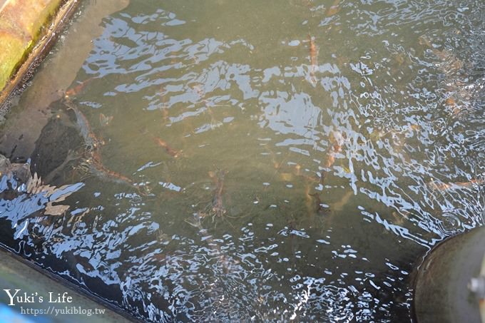 DSCF0993 免費！宜蘭景點【金車生技水產養殖研發中心】媲美水族館超好逛！礁溪室內親子景點、鮮蝦現場吃！兒童遊戲區❤