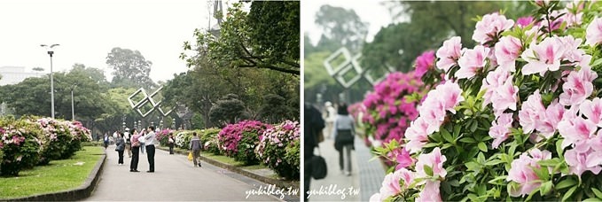 台北免費親子景點【二二八公園兒童遊戲場】120坪大沙坑×磨石子溜滑梯(台大醫院站/無料假日好去處) - yuki.tw