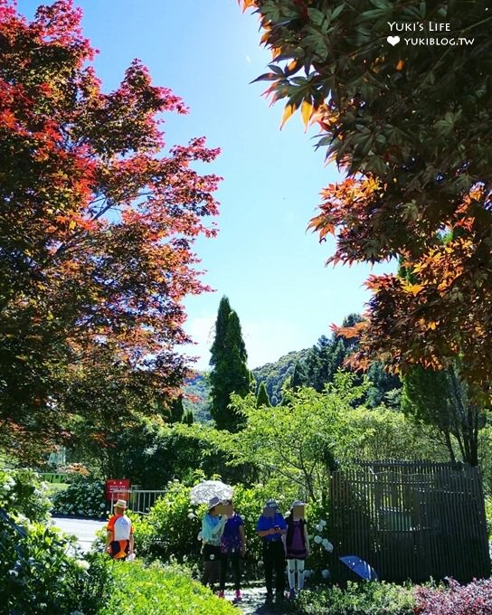 南投親子旅遊【杉林溪森林渡假園區】台灣美景避暑聖地×繡球花爆滿拍照好去處(遊園地圖／方式） - yuki.tw