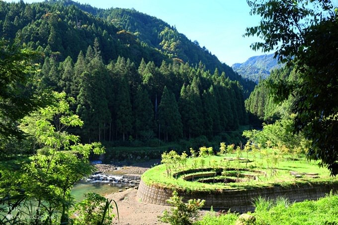 南投親子旅遊【杉林溪森林渡假園區】台灣美景避暑聖地×繡球花爆滿拍照好去處(遊園地圖／方式） - yuki.tw