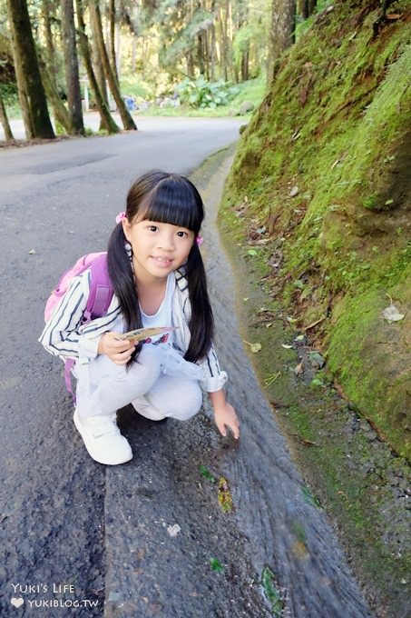 南投親子旅遊【杉林溪森林渡假園區】台灣美景避暑聖地×繡球花爆滿拍照好去處(遊園地圖／方式） - yuki.tw