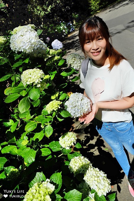 南投親子旅遊【杉林溪森林渡假園區】台灣美景避暑聖地×繡球花爆滿拍照好去處(遊園地圖／方式） - yuki.tw