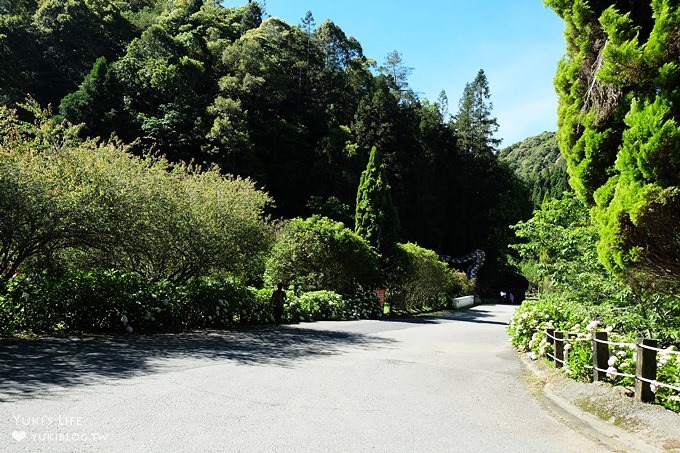 南投親子旅遊【杉林溪森林渡假園區】台灣美景避暑聖地×繡球花爆滿拍照好去處(遊園地圖／方式） - yuki.tw