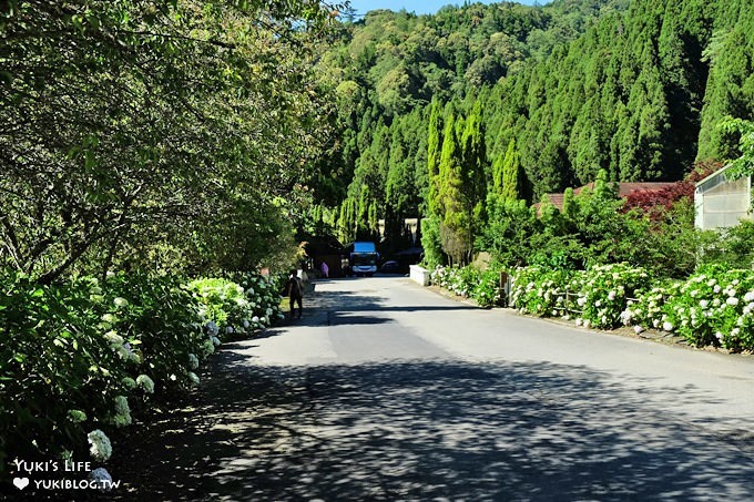 南投親子旅遊【杉林溪森林渡假園區】台灣美景避暑聖地×繡球花爆滿拍照好去處(遊園地圖／方式） - yuki.tw