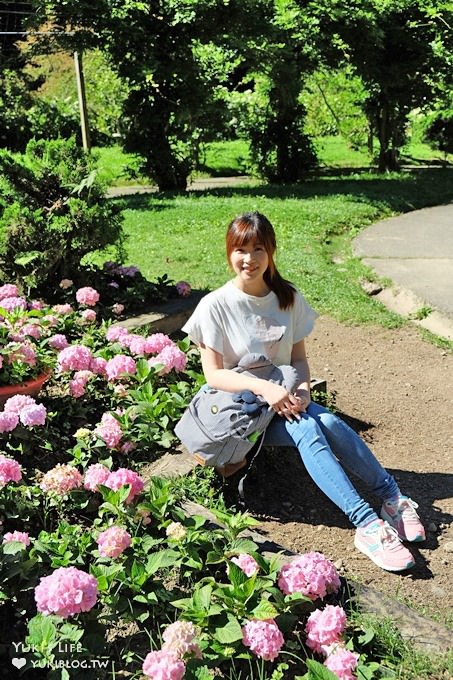 南投親子旅遊【杉林溪森林渡假園區】台灣美景避暑聖地×繡球花爆滿拍照好去處(遊園地圖／方式） - yuki.tw