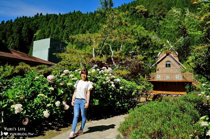 南投親子旅遊【杉林溪森林渡假園區】台灣美景避暑聖地×繡球花爆滿拍照好去處(遊園地圖／方式） - yuki.tw