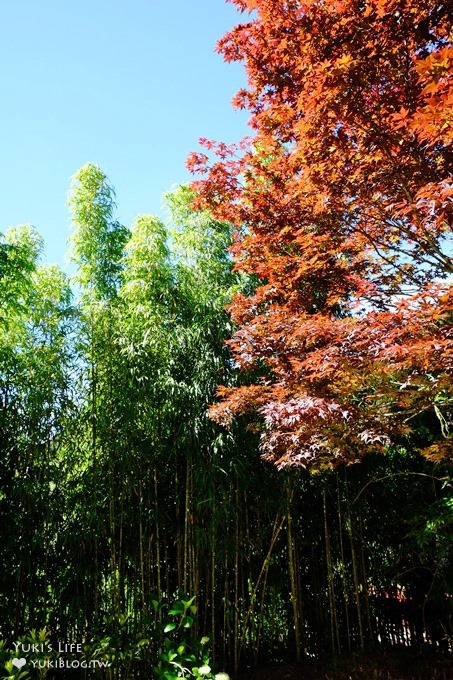 南投親子旅遊【杉林溪森林渡假園區】台灣美景避暑聖地×繡球花爆滿拍照好去處(遊園地圖／方式） - yuki.tw