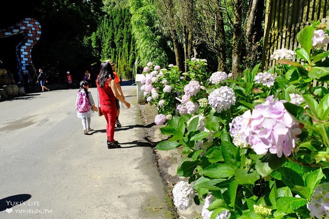 南投親子旅遊【杉林溪森林渡假園區】台灣美景避暑聖地×繡球花爆滿拍照好去處(遊園地圖／方式） - yuki.tw