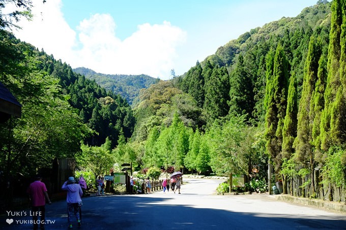 南投親子旅遊【杉林溪森林渡假園區】台灣美景避暑聖地×繡球花爆滿拍照好去處(遊園地圖／方式） - yuki.tw