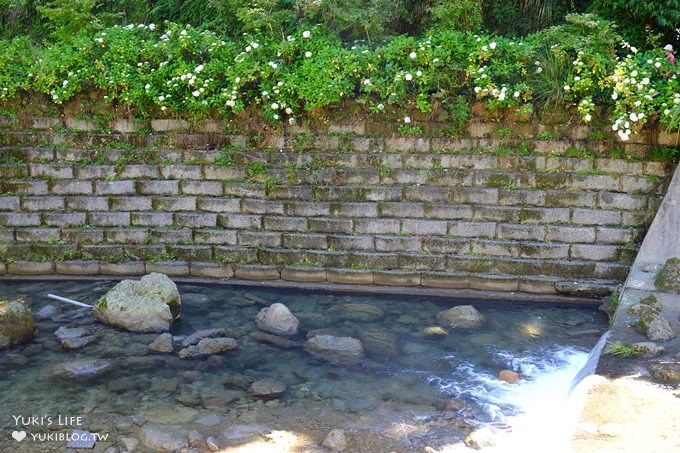 南投親子旅遊【杉林溪森林渡假園區】台灣美景避暑聖地×繡球花爆滿拍照好去處(遊園地圖／方式） - yuki.tw