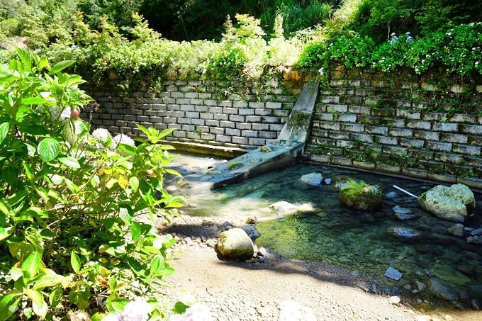 南投親子旅遊【杉林溪森林渡假園區】台灣美景避暑聖地×繡球花爆滿拍照好去處(遊園地圖／方式） - yuki.tw