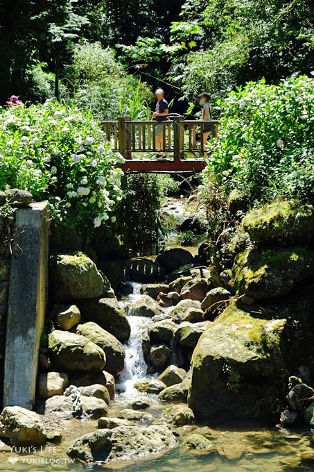 南投親子旅遊【杉林溪森林渡假園區】台灣美景避暑聖地×繡球花爆滿拍照好去處(遊園地圖／方式） - yuki.tw