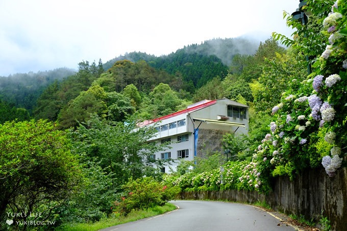 南投親子旅遊【杉林溪森林渡假園區】台灣美景避暑聖地×繡球花爆滿拍照好去處(遊園地圖／方式） - yuki.tw