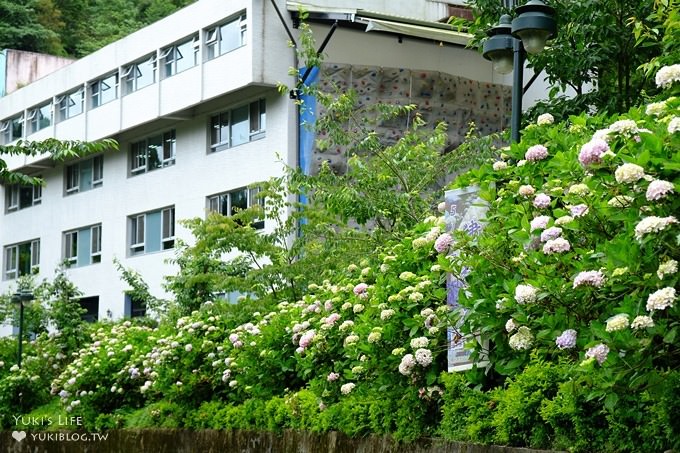 南投親子旅遊【杉林溪森林渡假園區】台灣美景避暑聖地×繡球花爆滿拍照好去處(遊園地圖／方式） - yuki.tw