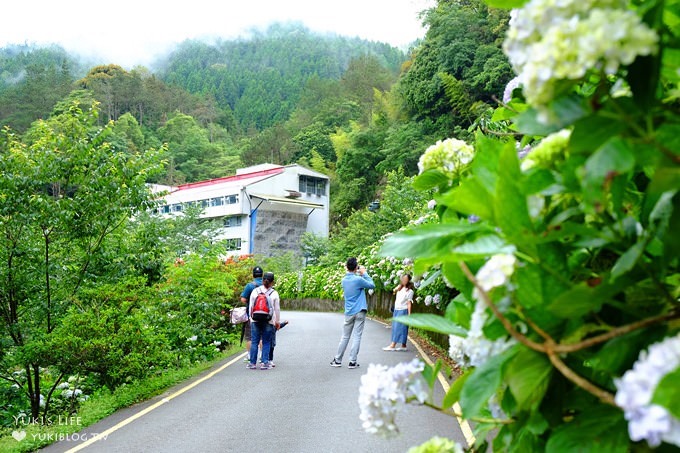 南投親子旅遊【杉林溪森林渡假園區】台灣美景避暑聖地×繡球花爆滿拍照好去處(遊園地圖／方式） - yuki.tw