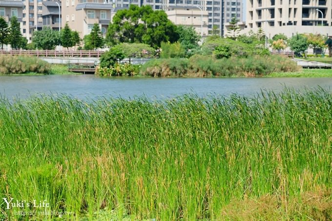 桃園捷運景點【青塘園生態公園】藝術景觀大草皮野餐好去處！(體育園區站) - yuki.tw