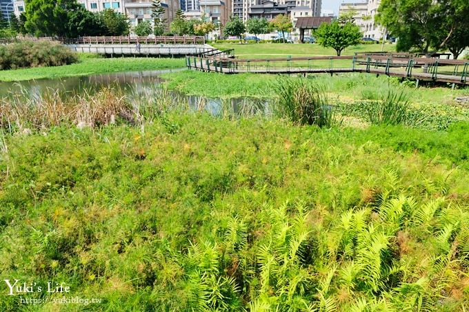 桃園捷運景點【青塘園生態公園】藝術景觀大草皮野餐好去處！(體育園區站) - yuki.tw