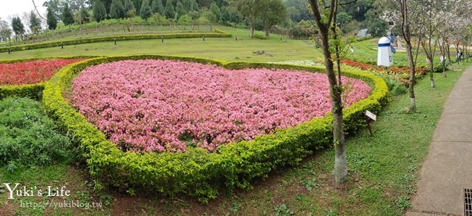 桃園景點【大溪花海農場】摩艾石像園區、四季都美親子同遊好去處 - yuki.tw