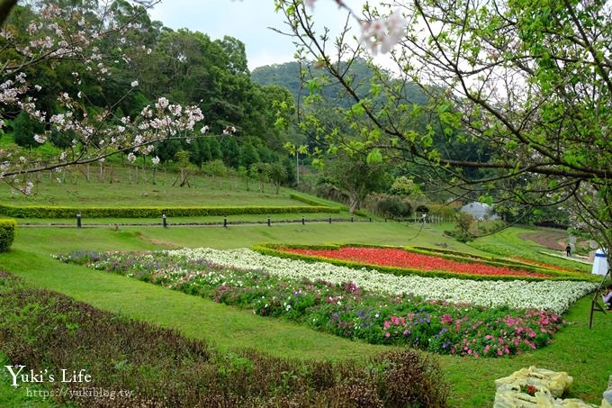 桃園景點【大溪花海農場】摩艾石像園區、四季都美親子同遊好去處 - yuki.tw