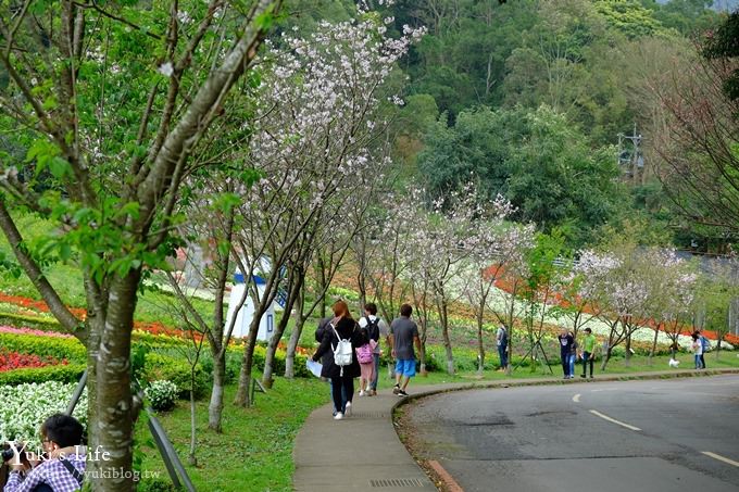 桃園景點【大溪花海農場】摩艾石像園區、四季都美親子同遊好去處 - yuki.tw