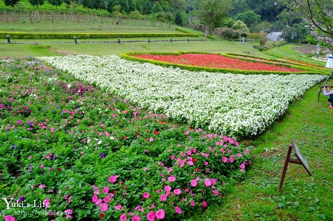 桃園景點【大溪花海農場】摩艾石像園區、四季都美親子同遊好去處 - yuki.tw