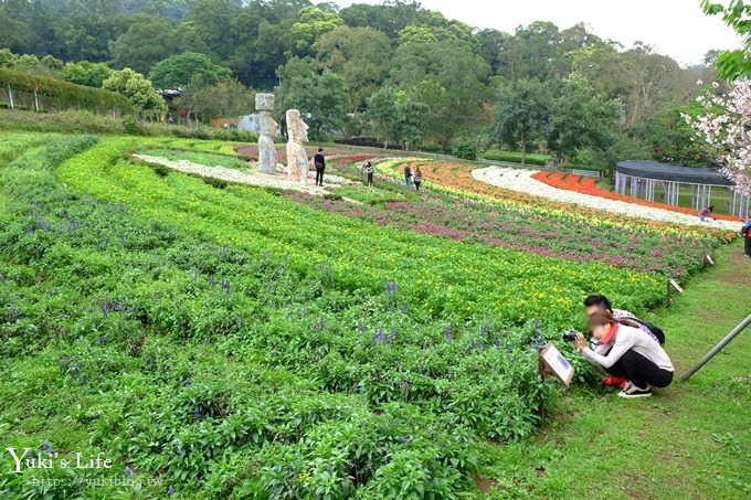 桃園景點【大溪花海農場】摩艾石像園區、四季都美親子同遊好去處 - yuki.tw