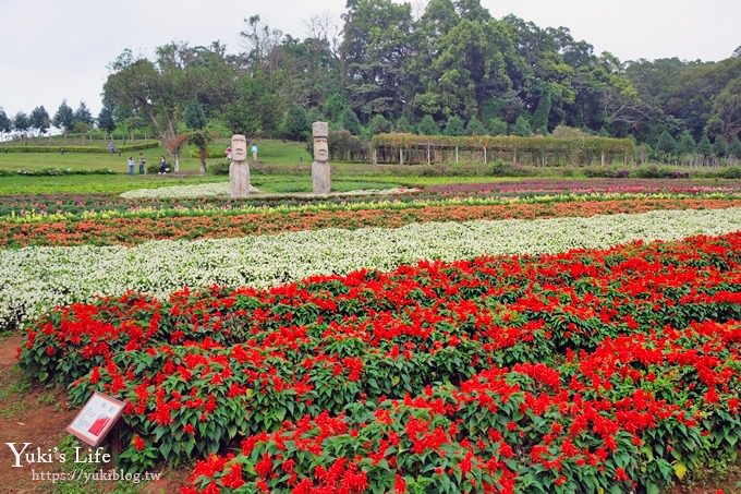 桃園景點【大溪花海農場】摩艾石像園區、四季都美親子同遊好去處 - yuki.tw