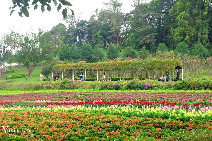 桃園景點【大溪花海農場】摩艾石像園區、四季都美親子同遊好去處 - yuki.tw