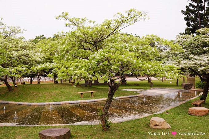 桃園楊梅親子遊【味全埔心牧場】初夏●流蘇雨下的戲水玩水區&小豬賽跑gogo! - yuki.tw