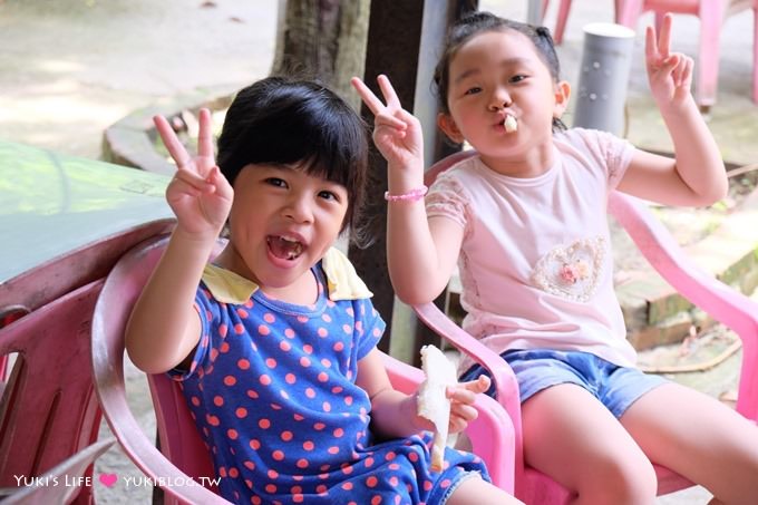 苗栗後龍【台灣水牛城】夏日玩水、烤肉吃到飽、免門票、動物園~親子同遊好去處! - yuki.tw