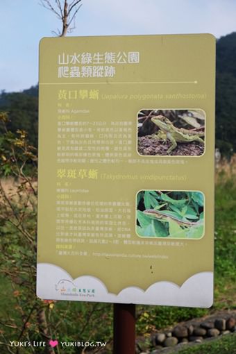 台北南港景點【山水綠生態公園】野餐玩沙溜滑梯親子場地推薦、富教育意義接近大自然 - yuki.tw