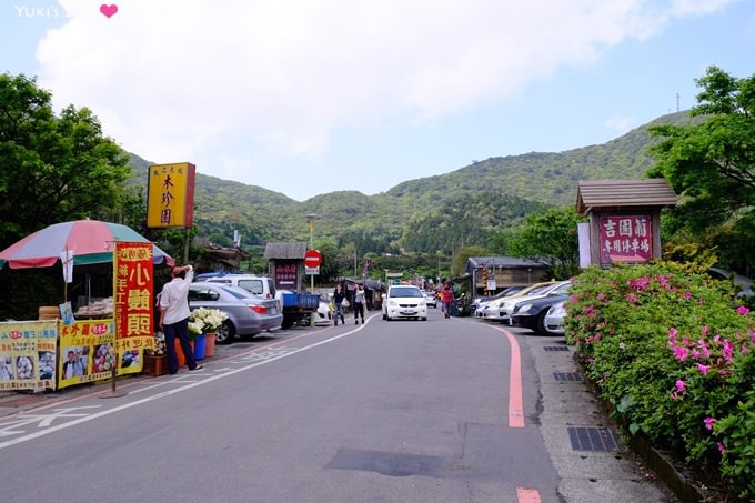 士林陽明山一日遊【竹子湖海芋季】搭公車捷運來去台北郊區輕鬆玩(交通方式) - yuki.tw