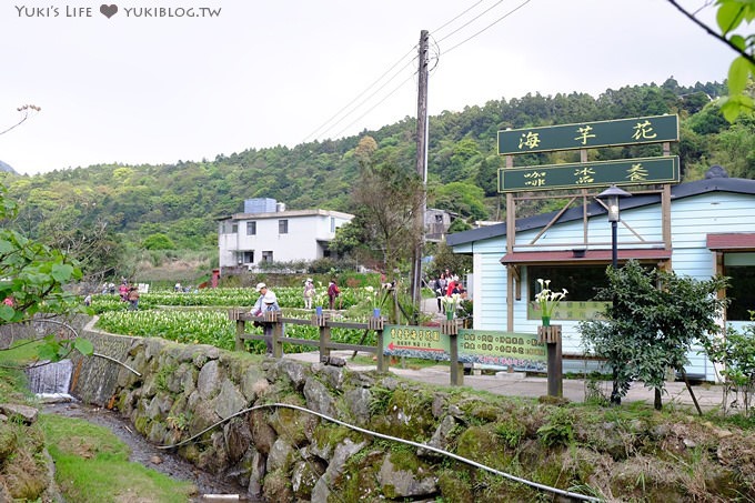 士林陽明山一日遊【竹子湖海芋季】搭公車捷運來去台北郊區輕鬆玩(交通方式) - yuki.tw