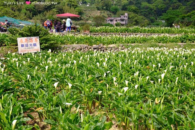 士林陽明山一日遊【竹子湖海芋季】搭公車捷運來去台北郊區輕鬆玩(交通方式) - yuki.tw