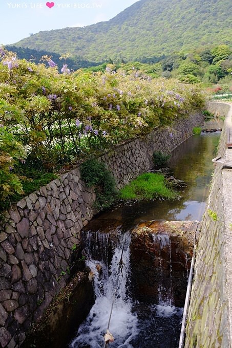 士林陽明山一日遊【竹子湖海芋季】搭公車捷運來去台北郊區輕鬆玩(交通方式) - yuki.tw