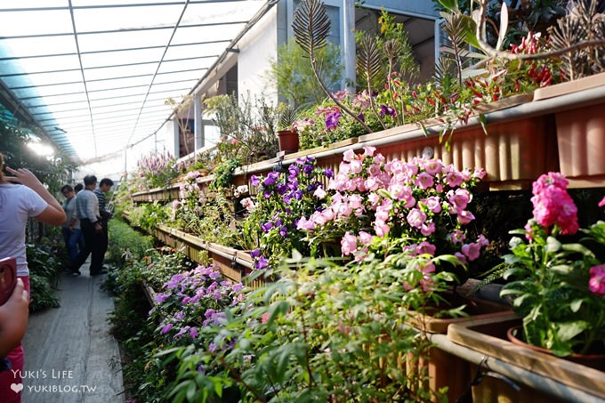 台北內湖採草莓親子景點【莓圃觀光休閒農園】草莓披薩下午茶好甜蜜×可做糖霜餅乾DIY - yuki.tw