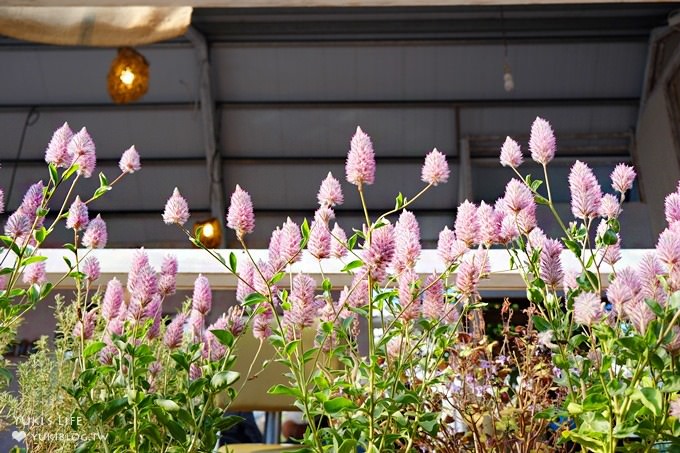 台北內湖採草莓親子景點【莓圃觀光休閒農園】草莓披薩下午茶好甜蜜×可做糖霜餅乾DIY - yuki.tw