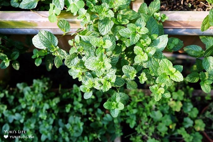 台北內湖採草莓親子景點【莓圃觀光休閒農園】草莓披薩下午茶好甜蜜×可做糖霜餅乾DIY - yuki.tw