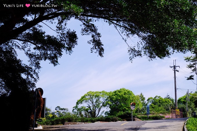 新竹景點【森林鳥花園】超夯親子玩樂景點！超長溜滑梯就在這兒！ (近楊梅火車站) - yuki.tw