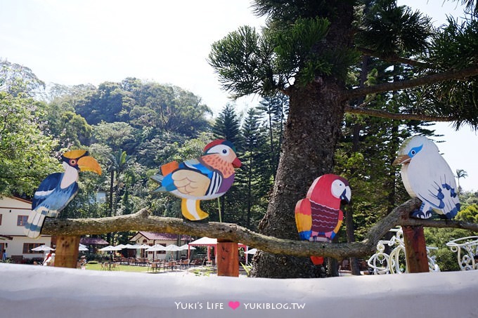 新竹景點【森林鳥花園】超夯親子玩樂景點！超長溜滑梯就在這兒！ (近楊梅火車站) - yuki.tw