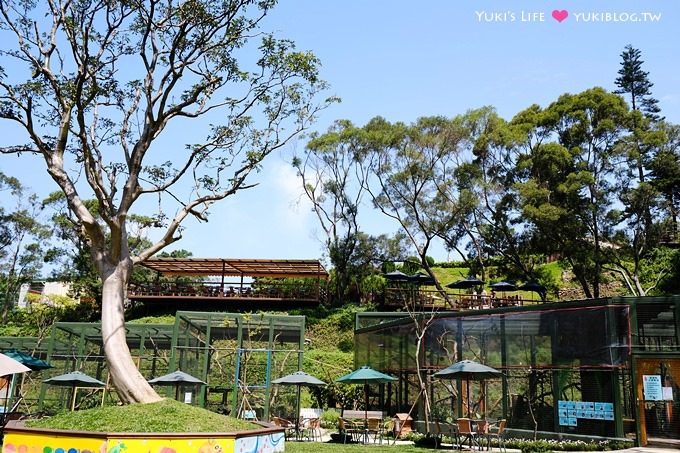 新竹景點【森林鳥花園】超夯親子玩樂景點！超長溜滑梯就在這兒！ (近楊梅火車站) - yuki.tw