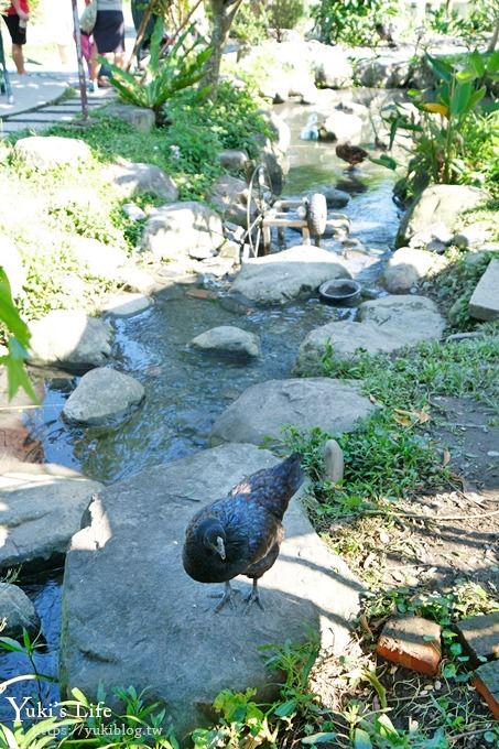 宜蘭景點【宜農牧場】30元銅板價×兒童遊戲區～餵羊餵小豬休閒農場親子必訪！ - yuki.tw