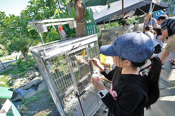 宜蘭景點【宜農牧場】30元銅板價×兒童遊戲區～餵羊餵小豬休閒農場親子必訪！ - yuki.tw