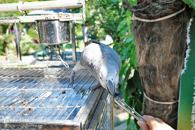 宜蘭景點【宜農牧場】30元銅板價×兒童遊戲區～餵羊餵小豬休閒農場親子必訪！ - yuki.tw