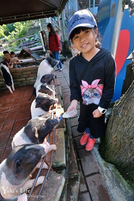 宜蘭景點【宜農牧場】30元銅板價×兒童遊戲區～餵羊餵小豬休閒農場親子必訪！ - yuki.tw