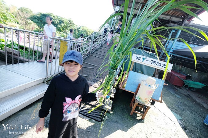 宜蘭景點【宜農牧場】30元銅板價×兒童遊戲區～餵羊餵小豬休閒農場親子必訪！ - yuki.tw