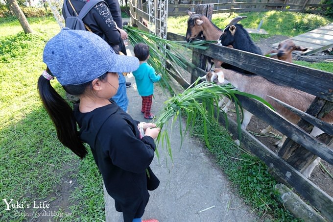 宜蘭景點【宜農牧場】30元銅板價×兒童遊戲區～餵羊餵小豬休閒農場親子必訪！ - yuki.tw