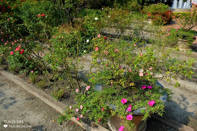 彰化田尾親子景點【全得玫瑰莊園】歐風浪漫建築景觀餐廳×草皮沙坑溜滑梯還能餵魚 - yuki.tw