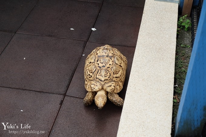 東京親子景點【荒川遊園地】親子同遊高CP值遊樂園!餵動物、釣魚、玩水去！ - yuki.tw