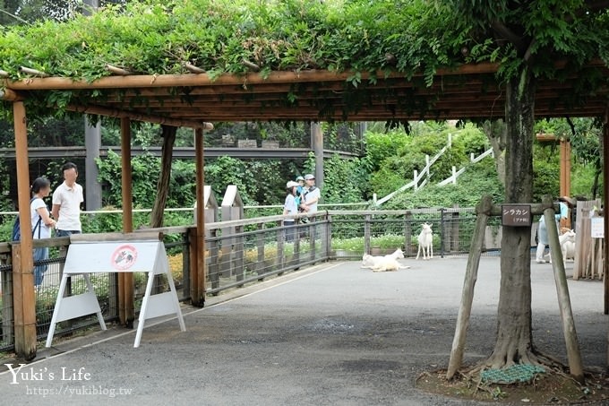 東京親子景點【荒川遊園地】親子同遊高CP值遊樂園!餵動物、釣魚、玩水去！ - yuki.tw